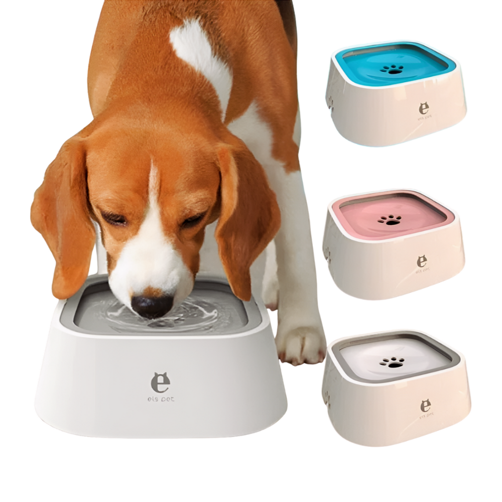 💦Say Goodbye to Water Splashes! Splash-proof pet water bowls keep your floors dry! Limited-time offer🎁