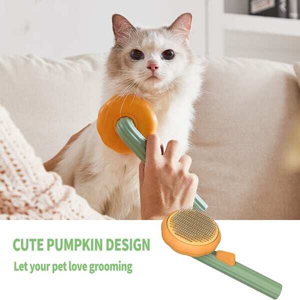 Pumpkin comb limited-time discount 🎃 Easily removes loose hair