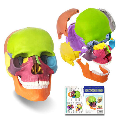 🥳New Year Promotion ▏Buy More Save More🥳